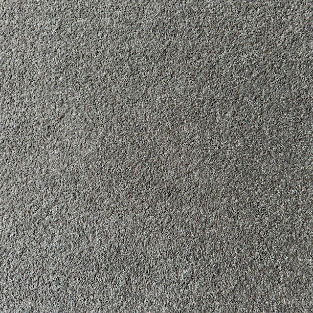 Pacific Grey
